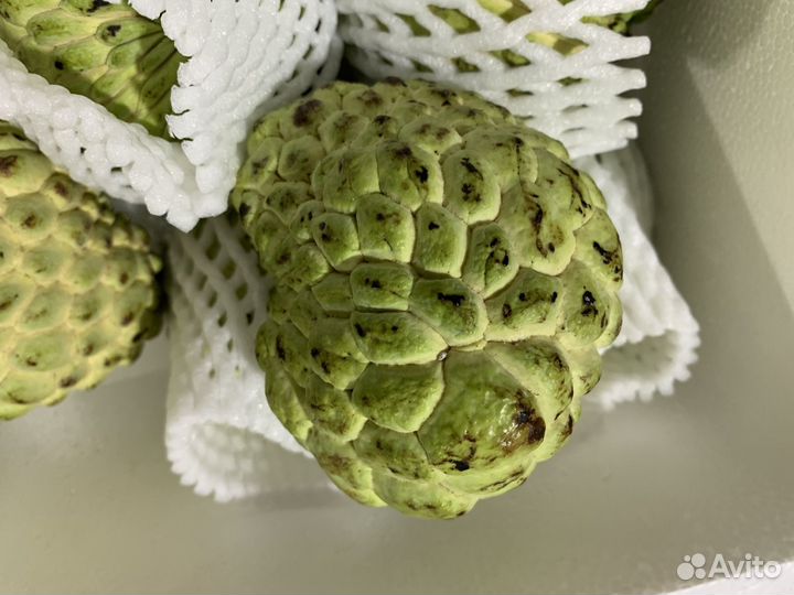Черимойя свежая отборная вкусная сахарное яблоко