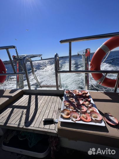 Гастротур с Дайвером