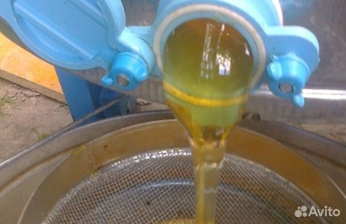 Мед натуральный из Алтая опт. минимально 16 кг