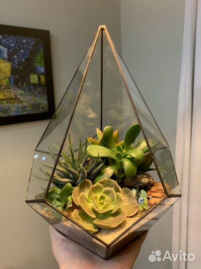 Флорариум с суккулентами