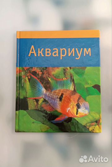 Книга 
