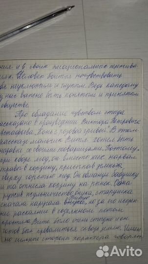 Образование