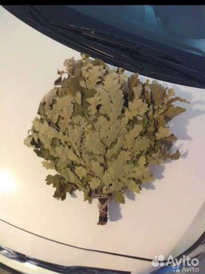 Дубовые веники для бани