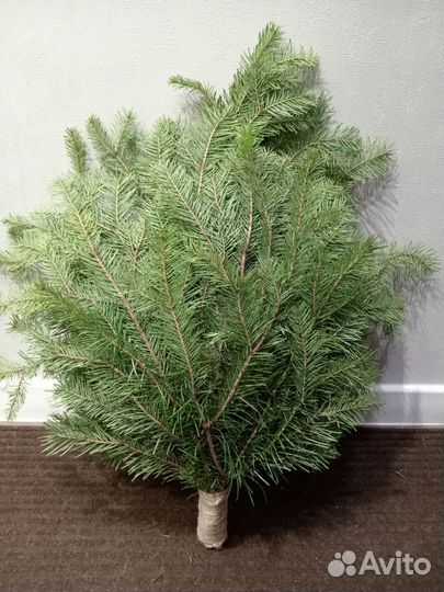 Веник для бани, веник пихтовый, веники