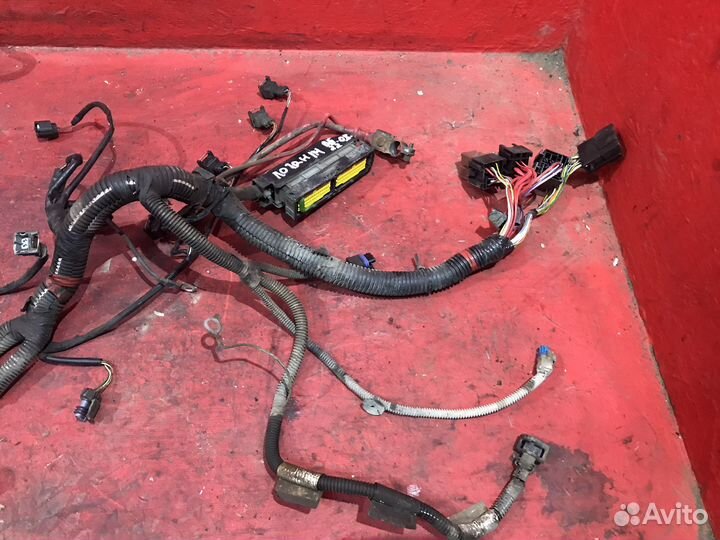 Логан проводка эбу подкапотная 1.4 8 клапанная