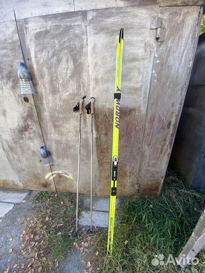 Лыжи nordway xc pulse