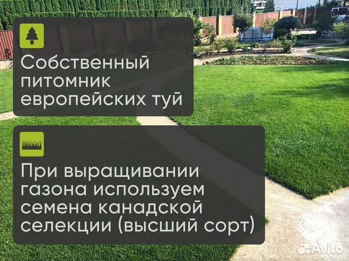 Натуральный газон от производителя