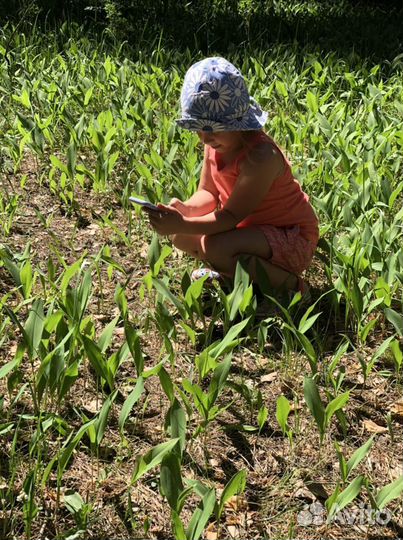 Шорты и майка gap на 6-7 лет