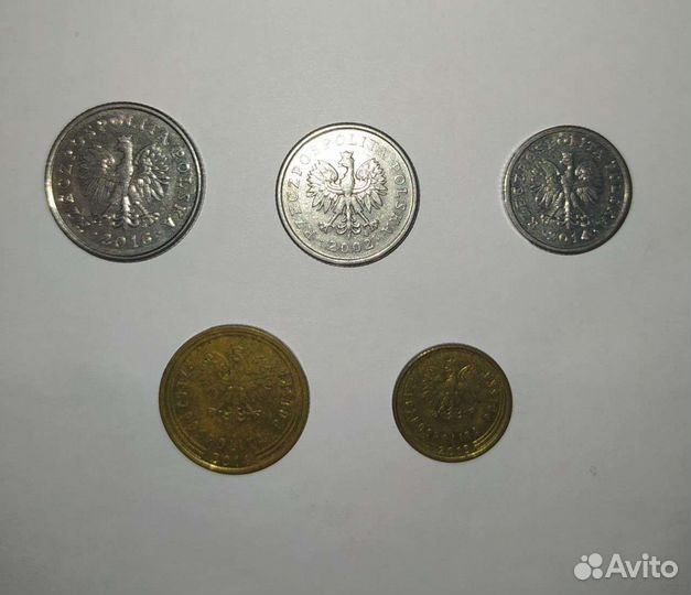 Монеты Польские гроши