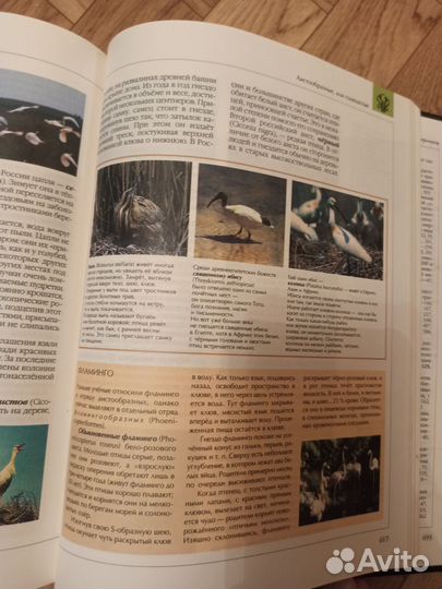 Энциклопедия