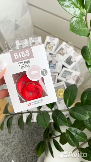 Пустышки соски Bibs