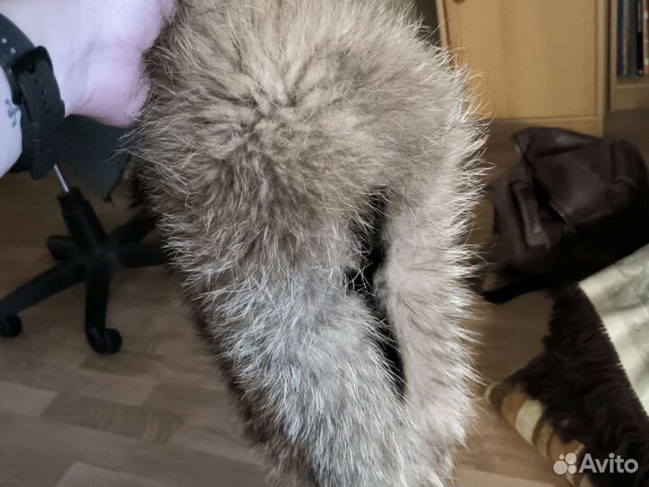 Меховой воротник