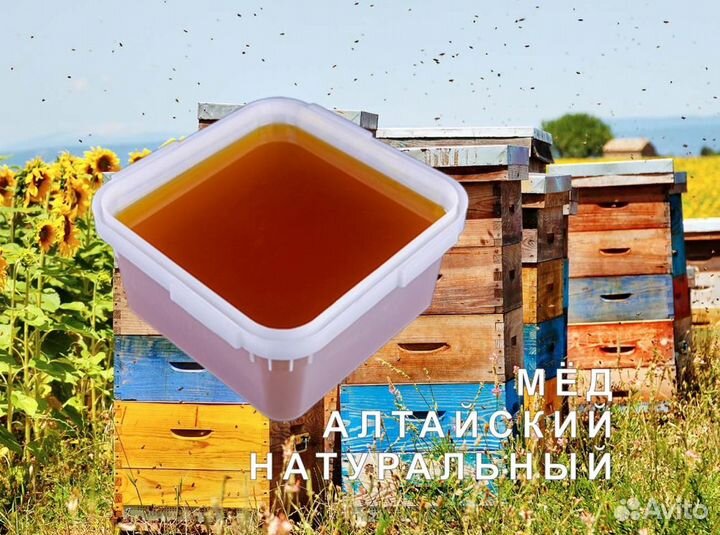 Мёд натуральный из Алтая оптом