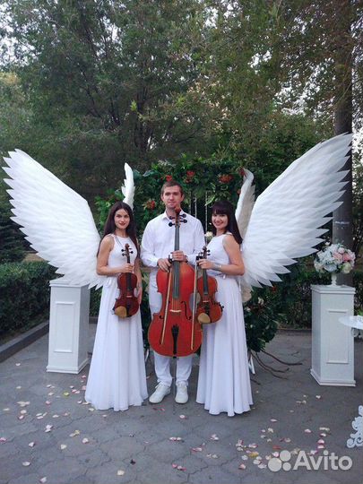 Струнное трио 