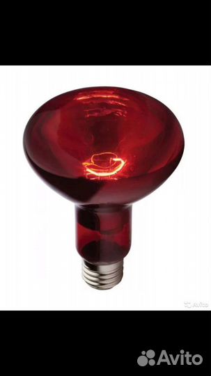 Инфракрасная лампа для животных и птиц