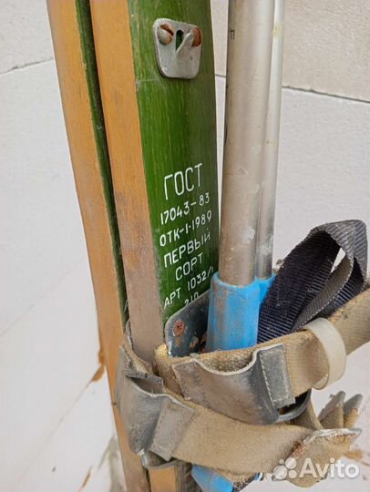 Беговые лыжи