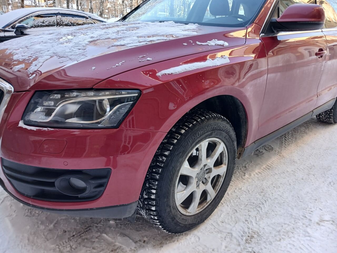 Audi Q5: фото из отзыва