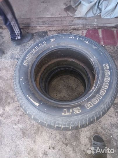 Pirelli Dragon 205/70 R15