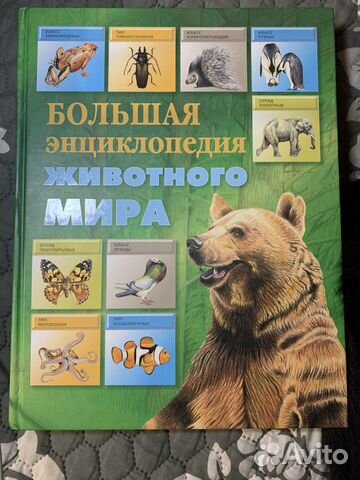 Энциклопедия животного мира