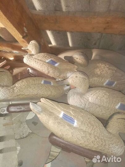 Чучела уток для охоты