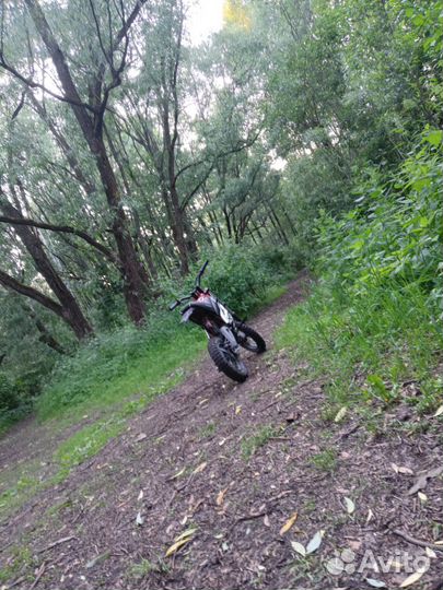 Электро питбайк whitesiberia модель sochi торг