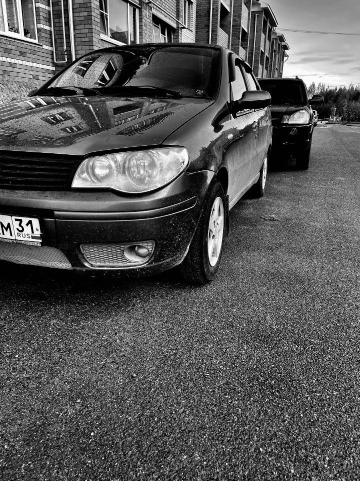 FIAT Albea: фото владельца