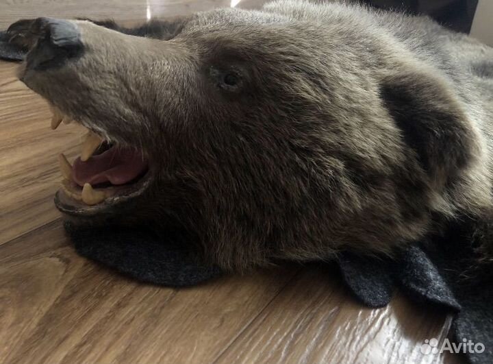 Шкура медведя имитация