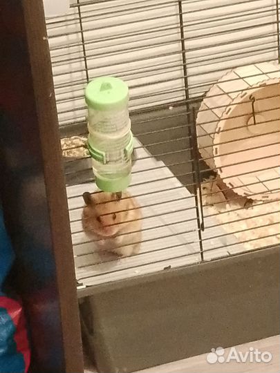 Клетка большая для шиншил, крыс и хомяков