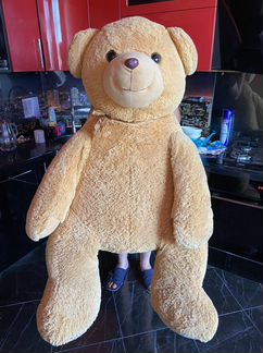 Плюшевый медведь