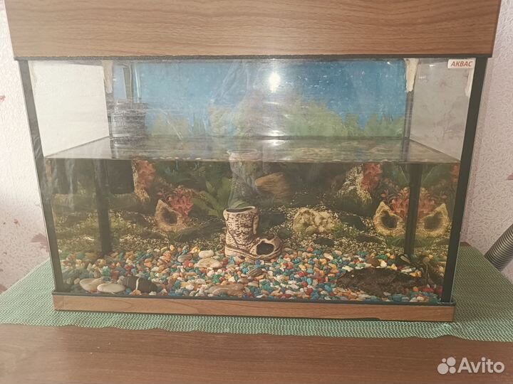 Аквариум