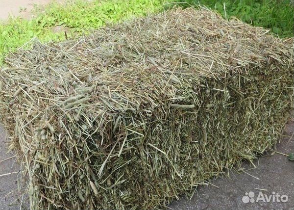 Сено в тюках плотное разнотравье