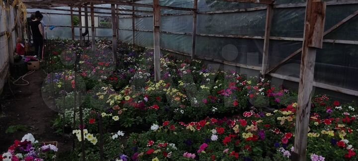 Дом 65 м² на участке 15 сот.