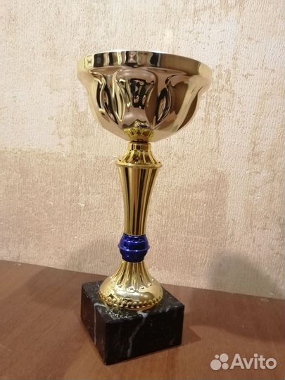 Кубок нагродной