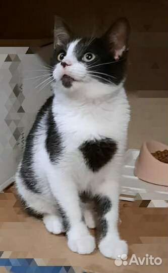 Европейская