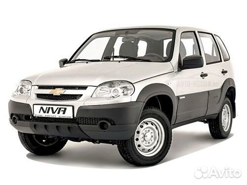 Водитель легкового автомобиля