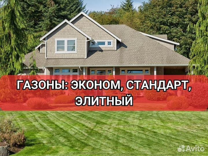 Рулонный газон/продажа/укладка