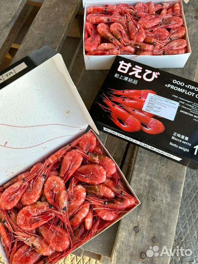 Креветка северная, крабы