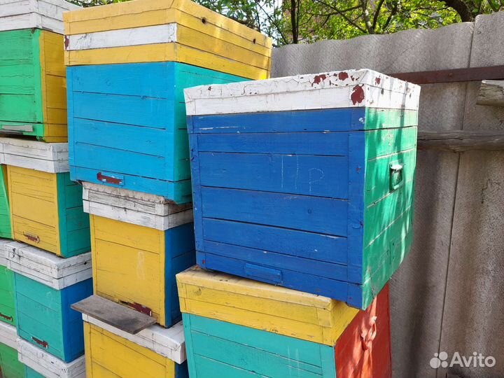 Продам ульи, нуклеусы