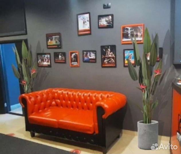 Дизайн проект визуализация озеленения бесплатно