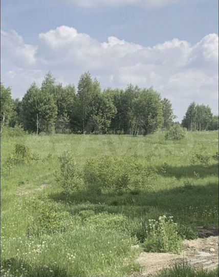 Участок 11,15 га (СНТ, ДНП)