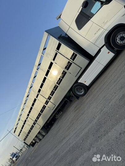 Скотовоз 17 метров Перевозка скота Мрс,Крс,Лошадей