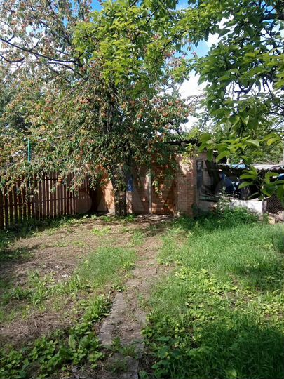 Дом 65 м² на участке 5,6 сот.