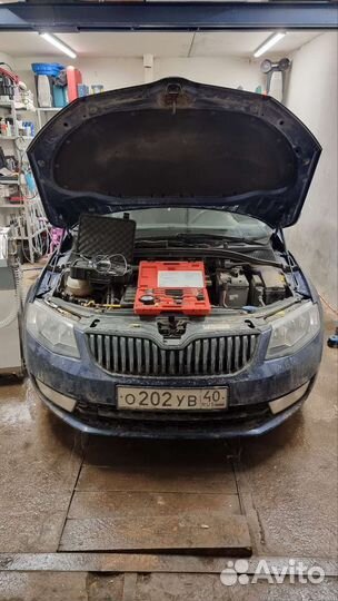 Эндоскопия цпг/катализатора