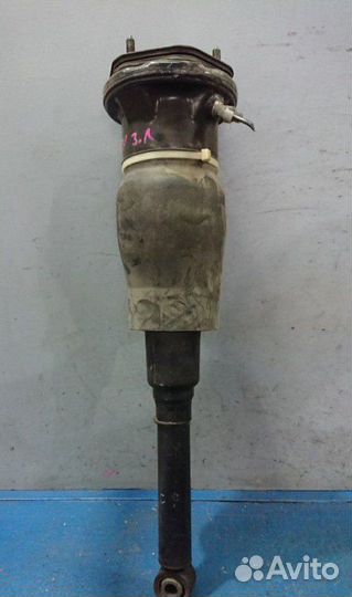 Пневмостойка задняя левая Lexus Ls430 UCF30 UCF31