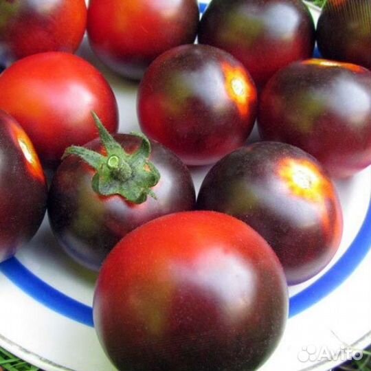 Семена коллекционных томатов