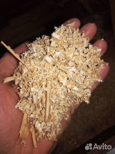 Опилки,стружка дуб/ясень