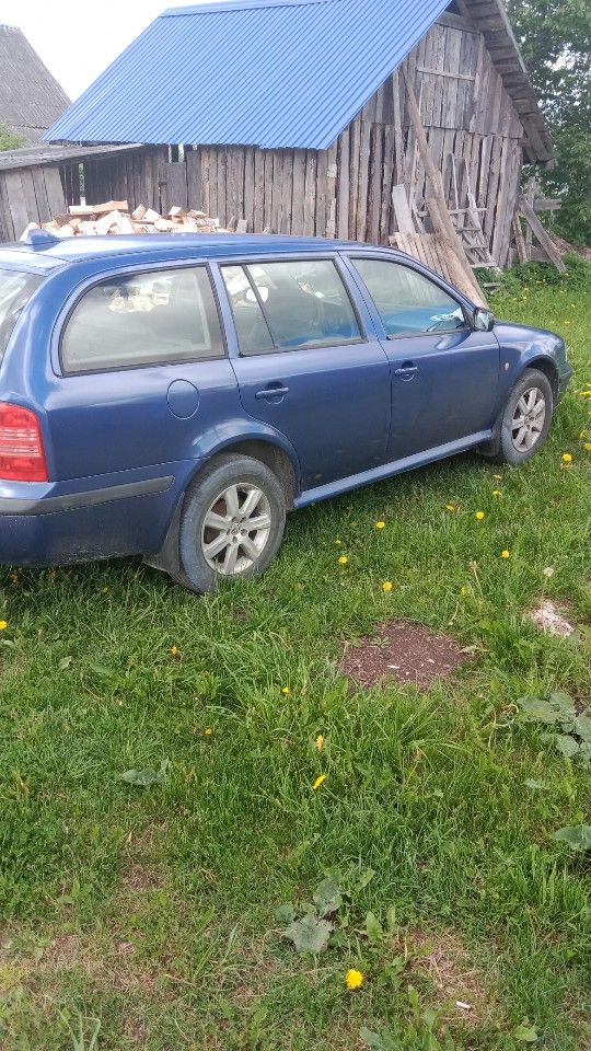 Skoda Octavia: фото владельца