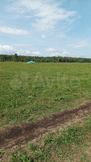 Участок 5 га (СНТ, ДНП)