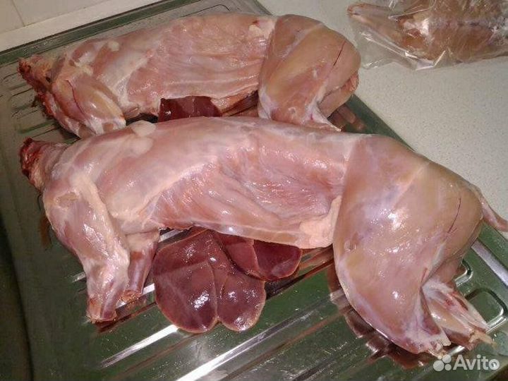 Продам мясо кролика