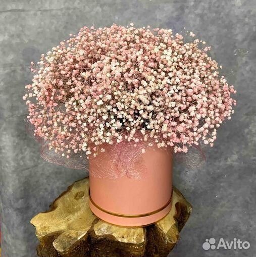 Гипсофилы с открыткой